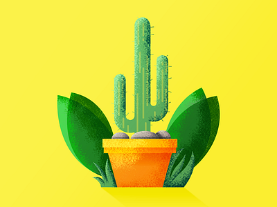 Cactus