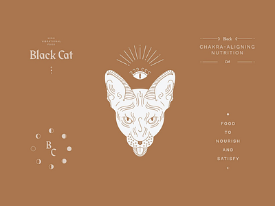 Black Cat all seeing eye branding cat food industry identity illustration logo logo design restaurant sphynx vector witches