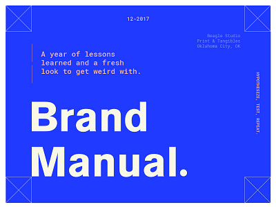 Brand Manual brand guide branding design identity