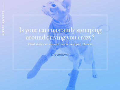 Day 3: Landing Page 100 days of ui cats charlie kelly landing page