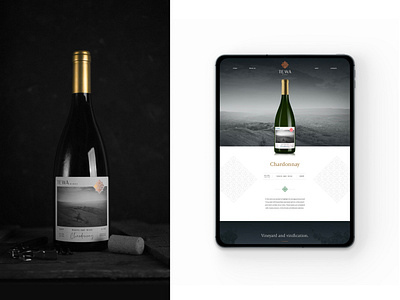 TEWA wines branding ui webdesign website winelabel winery