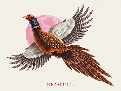 Mezalimpe bird branding illustration pheasant wine winelabel