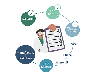 The phases of vaccine creation adobe illustrator health lifeology trials vaccine