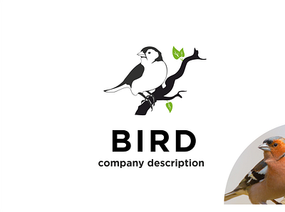 Bird bird branding design logo ui