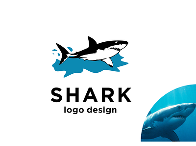 Shark art branding design flat graphic design icon illustration illustrator logo minimal shark typography ui vector