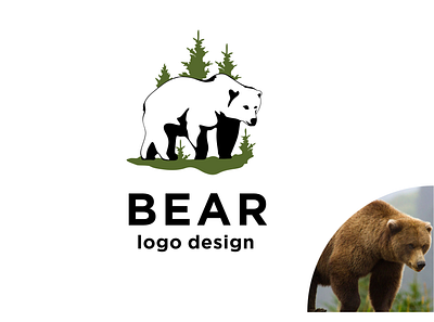 Bear app art bears branding design flat graphic design icon illustration illustrator logo minimal ui vector