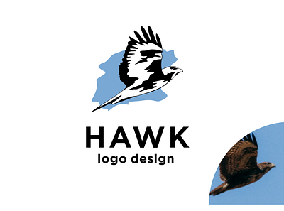 Hawk art branding design flat graphic design hawk illustration illustrator lettering logo minimal type typography ui ux web