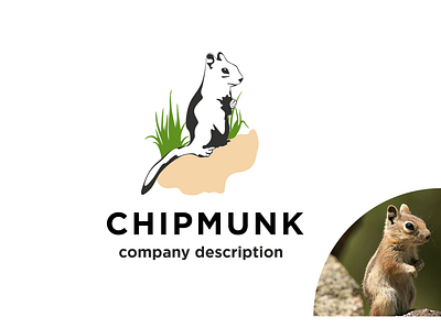 Chipmunk animals art branding chipmunk design flat graphic design icon illustration logo minimal typography ui ux vector website