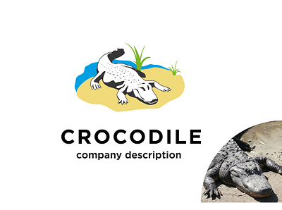 Crocodile art branding clean crocodile design flat graphic design icon illustration illustrator logo minimal type typography vector website