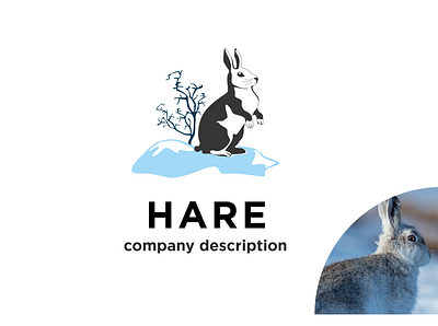 Hare art branding design flat graphic design hare icon illustration logo minimal vector