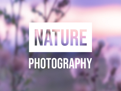 When nature turn purple - Nature Photography nature photography photographer photography purple purple gradient sunset