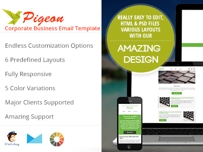 Pigeon. Large Preview business colorful corporate email flat marketing newsletter office template unique