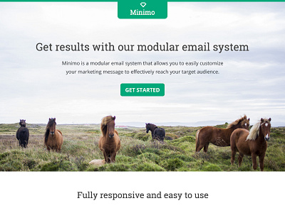 Minimo - Responsive Email + Drag&Drop Builder