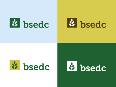 BSEDC logo color study color logo study