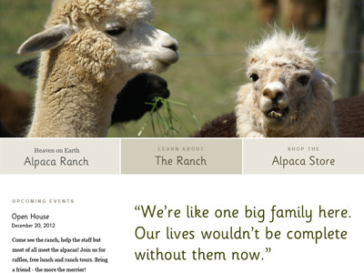 Alpaca Ranch alpacas webdesign