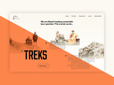 Royal Mountain — L&F Exploration clean design graphic design site typography ui ux webdesign website