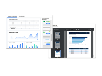 Análisis financiero & Reporte proveedor 360°