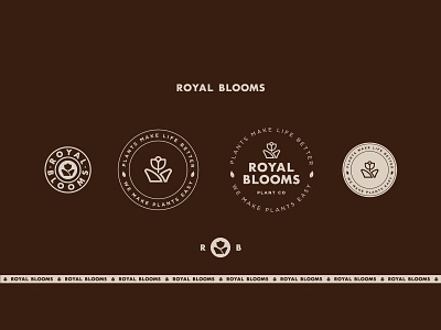 Royal Blooms Singapore