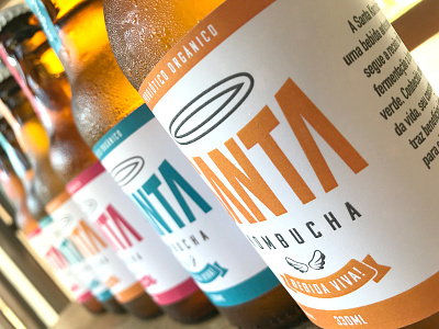 Santa Kombucha - Packaging Design