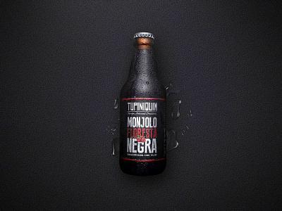 Packaging Design for Dark Beer beer beer packaging birra bottle branding cervejaria tupiniquim cerveza design label packaging packaging design porter