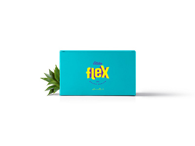 StudioFlex / Brand Design