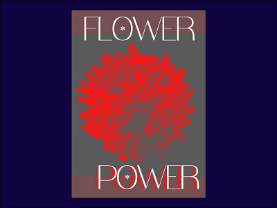 Challenge FlowerPower