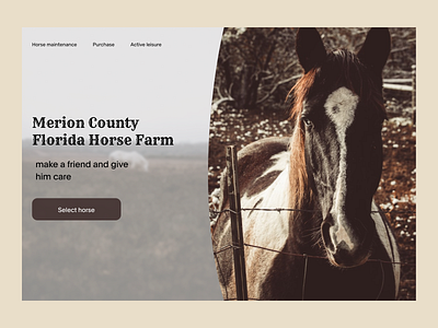 Концепт первого экрана для сайта лошадиной фермы дизайн сайта животные кони конный спорт коричневый лошади