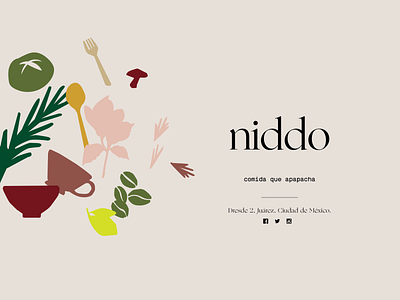 Splash Niddo Restaurant illustration restaurant typography web webdesign
