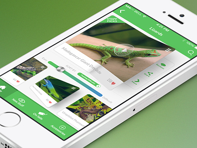 Reptile Pets Direct App Concept app concept ios mobile redesign uiux