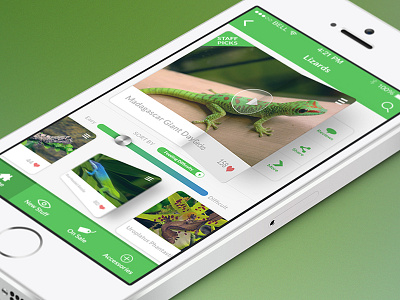 Reptile Pets Direct App Concept