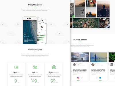 Style: Landing page