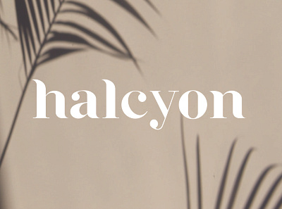 halcyon typeface design typeface typogaphy