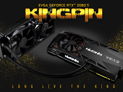 EVGA GeForce RTX 2080Ti KPE article branding evga graphics card header kingpin nvidia