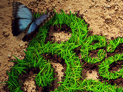 Beautiful Things butterfly church dirt easter texture typography