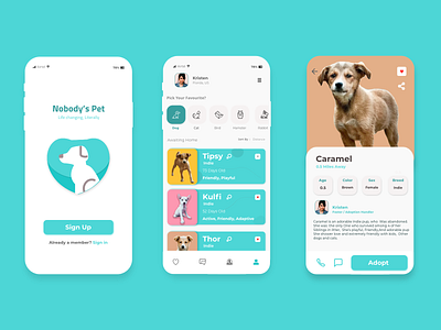 A Pet App - To Adopt Stray Animals app design ios ui uiux