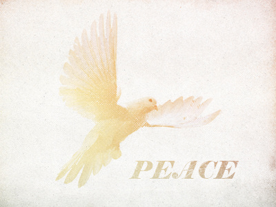 Peace bird dove flying freedom peace texture