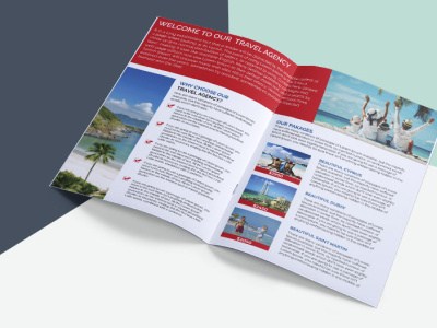 Travel agency bifold brochure bifold brochure branding brochure design design designer icon vector