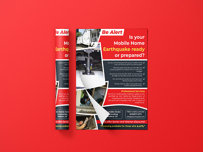 Professional Flyer Design ad advertising cataloge design designer flyer graphic design leaflet poster promotion