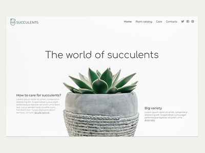 Succulents adobe photoshop design figma landing page ui ux web