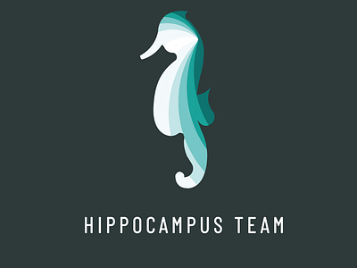 Hippocampus Team