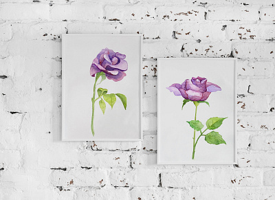 Roses, watercolor, illustration floral flower illustration illustrations illustrator rose roses watercolor