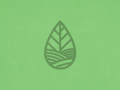 Eco Logo Concept