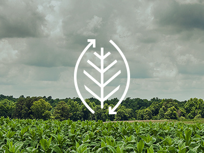 organic agriculture icon agriculture comite farm farming grow icon leaf linework recycle tobacco