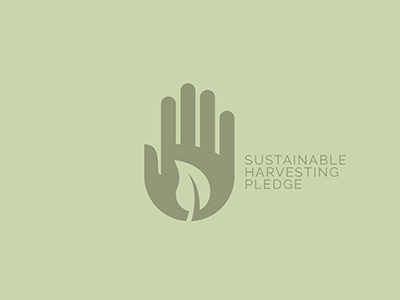 Sustainable Pledge agriculture farm grow hand harvest leaf organic pledge
