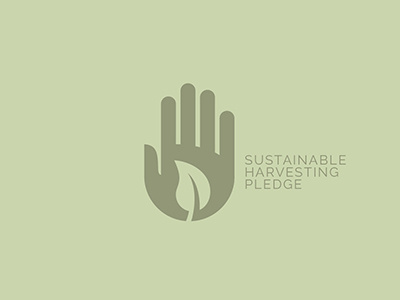 Sustainable Pledge