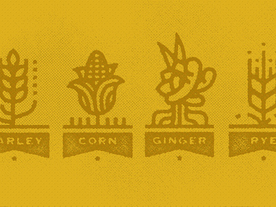 Farmed whiskey icons barley bourbon corn distressed ginger icons ingredients maize rye vintage wheat whiskey