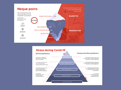 Presentation Design and Data Visualisation