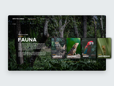Into the Jungle animals design desktop jungle laptop trees ui visual website