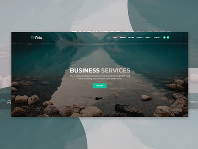 Aria Business service Web02 app branding design illustration ui ux vector web
