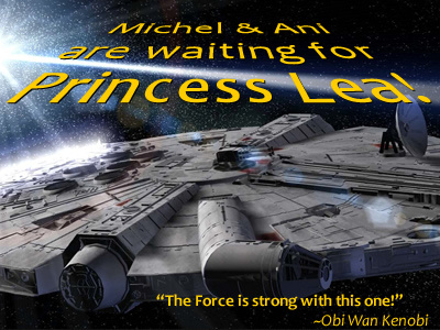 Princess Leia fireworks princess lea princess leia star wars the light side of the force were expecting
